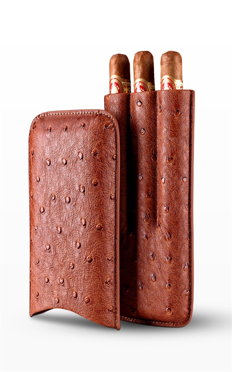 Установить сведения о сигуре page_13.jpg