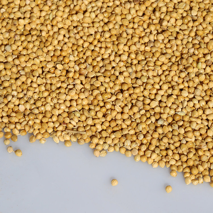 [USD 5.99] Northeast A-class Yellow Valley millet with shell millet 23 ...