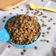 Đài Loan tự nhiên thức ăn cho mèo 500g phổ quát mèo chính hạt trong nhà mèo thực phẩm mang thai cho con mèo túi nhôm bao bì