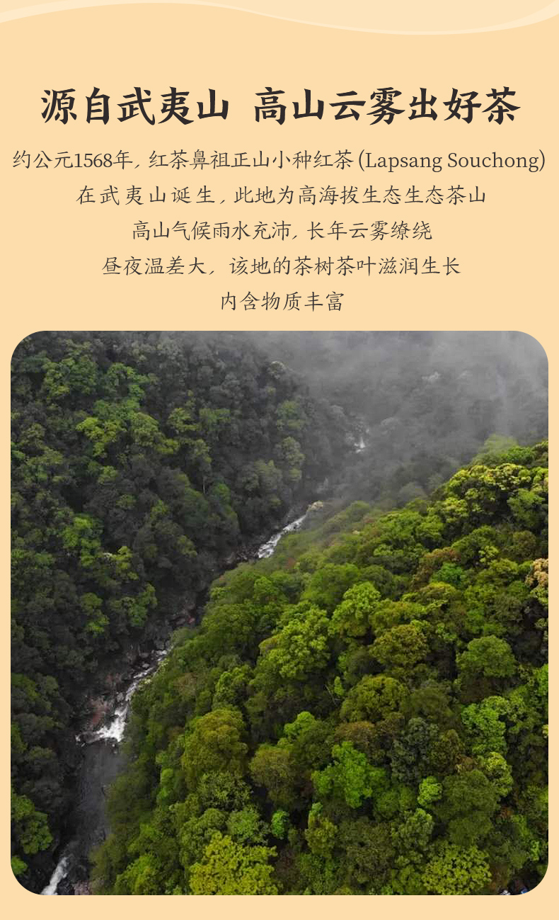 红茶国标起草单位 元正 红粹 正山小种红茶 50g 图9
