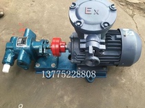  Changzhou Wujin Hot oil Pump Factory Gear pump injection oil pump 1 5KW-2 2KW explosion-proof gear pump copper core motor