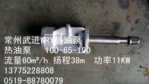  Wujin WRY high temperature thermal oil pump accessories assembly 100-65-190(200)(11KW)(15KW)