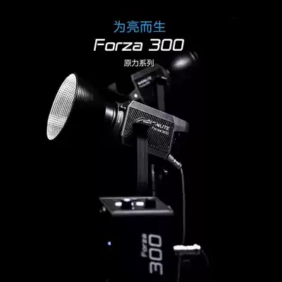 Nanguang South crown force NANLITE Forza 300W high-brightness concentrated film and television constant bright LED photography fill light