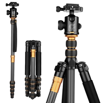 Light-mounted era Q666C SLR camera tripod stand gimbal set portable photography carbon fiber tripod