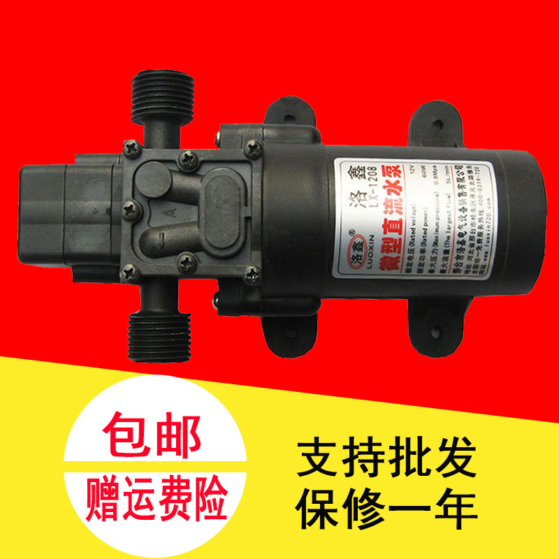 DC 12V Household Pumped Thread Pump Electric Pressure Switch Automatic High Pressure Car Wash Micro Self-Priming Pump