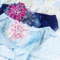 Limited to Japanese native wacoal wacoal SALUTE gorgeous exquisite boxer Japanese 729