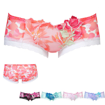  Japanese native Wacoal SALUTE butterfly dance stunning high-end boxer pants made in Japan 733