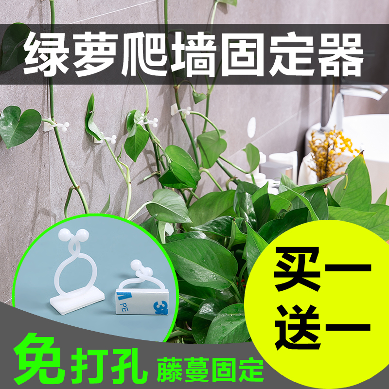 Gold Ge climbing wall artifact green plant climbing fixer without trace climbing vine paste gold Ge clip hook flower vine wall hanging buckle