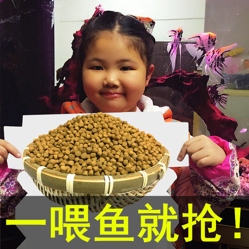 Homemade goldfish koi blood parrot tropical fish feed universal non-muddy water small particle fish food small fish fish food