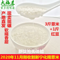 Newly harvested authentic Ninghua glutinous barley in 2020 three kg of red beans will be sent to Fujian Ninghua small glutinous barley kernels glutinous barley rice