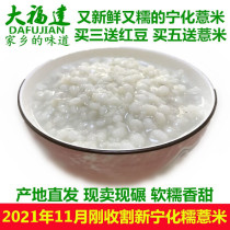 21 New Harvest Fujian Ninghua Waxy Coix Seed Coix Seed Coix Seed Coix Seed 500g Sai Jinsha Small Coix Seed Red Bean