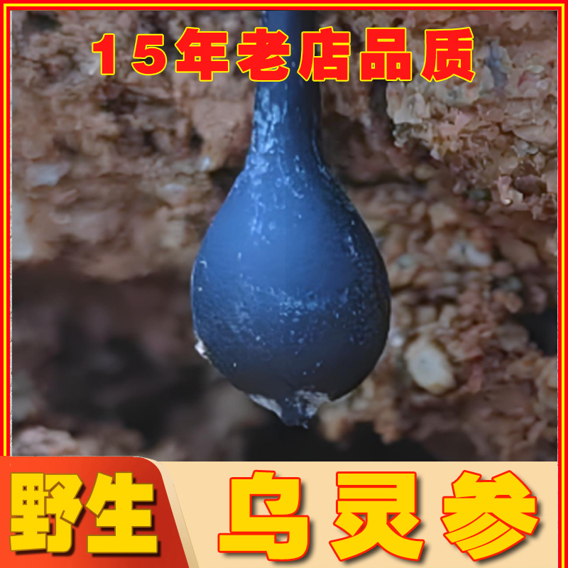 Yunnan Wild Black Fungus, Fresh Black Fungus with Black Stems, Charcoal Stick Fungus, Wild Fresh Black Fungus, Dried Goods Yunnan Wild Black Fungus, Fresh Black Fungus with Black Stems, Charcoal Stick Fungus, Wild Fresh Black Fungus, Dried Goods