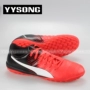 YYsong xác thực Puma Hummer evoPower4.2TF móng tay gãy giày bóng đá nhân tạo nam 103588 top giày sneaker nam