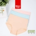 Quần lửng 3 dây đeo lưng nữ bằng vải cotton cao cấp quần lót nam seahorse Eo cao