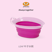 Роза красная