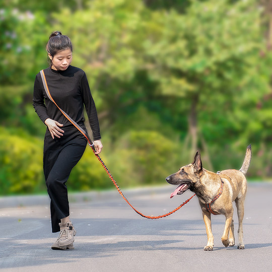 Winhyepet dog leash running dog leash chain waist lead crossbody medium and large dog telescopic explosion-proof punch