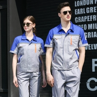 Пять династий серого синего плеча