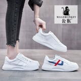 公猴 Белая обувь, туфли, универсальные спортивные кроссовки, коллекция 2022, осенняя, популярно в интернете
