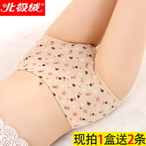 Arctic velvet underwear female cotton mid-waist hip-raising girl cotton seamless student large size triangle shorts head girl