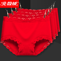 Big red panties womens high-waisted rat pure cotton antibacterial mid-waisted wedding graphene large size briefs head