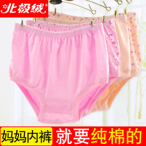 Arctic velvet middle-aged and elderly underwear female pure cotton mother elderly high-waisted plus size triangle shorts women loose pants