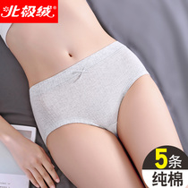 Arctic velvet underwear womens pure cotton new mid-waist womens briefs head girl cotton student summer girls bottoms