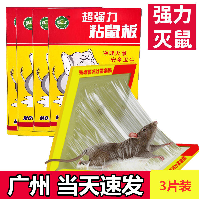 Rat Stickler Stickler Powerful Adhesive Large Rat Super Strong Home Safe Harmless and harmless Rat God Rat Rat rat rat stick