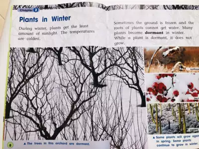 Plants And The Seasons 原版英文儿童大地板图书