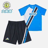 Цвет синий (1609ab)