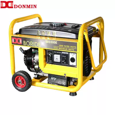 Dongming DONMIN small brushless gasoline generator 220V 3kw household electric start portable BR3500E