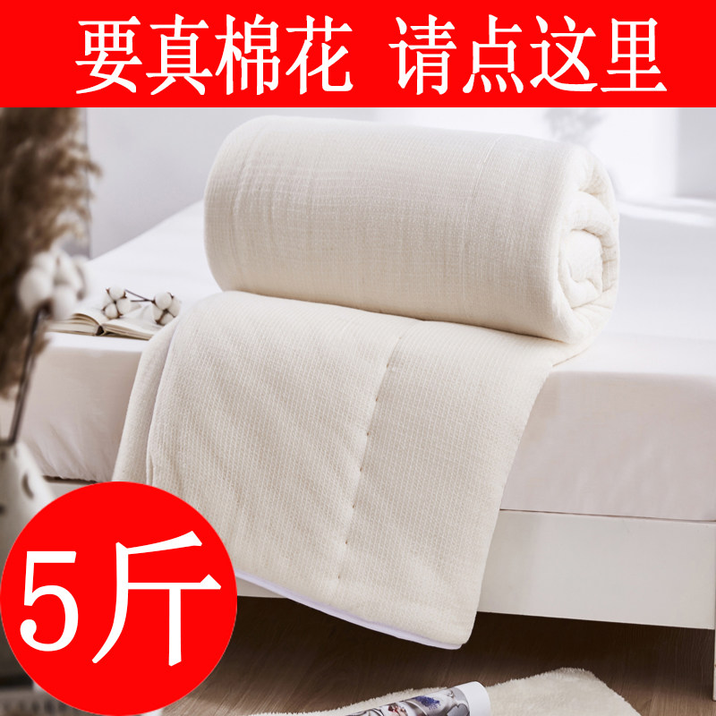 Princess Berfoot 5 catty Xinjiang cotton quilted by pure cotton quilted quilt core winter quilted by all-cotton student dormitories 0-9 m cushion bedding