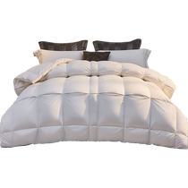 Luolai Home Textiles Quilt Core Double Bed Thickened Warm Down Quilt Quality Imported 95 Goose Down Winter Quilt