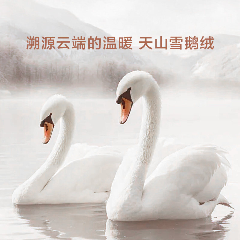 [Hu Ke New Year Festival] Luolai 100-Count Pure Cotton Washable Class a 95% White Goose down Quilt