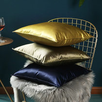 Holding Pillow Back Cushion Pure color American ins light lavish minimalist approx. modern sofa Living room leaning on pillow office square without core