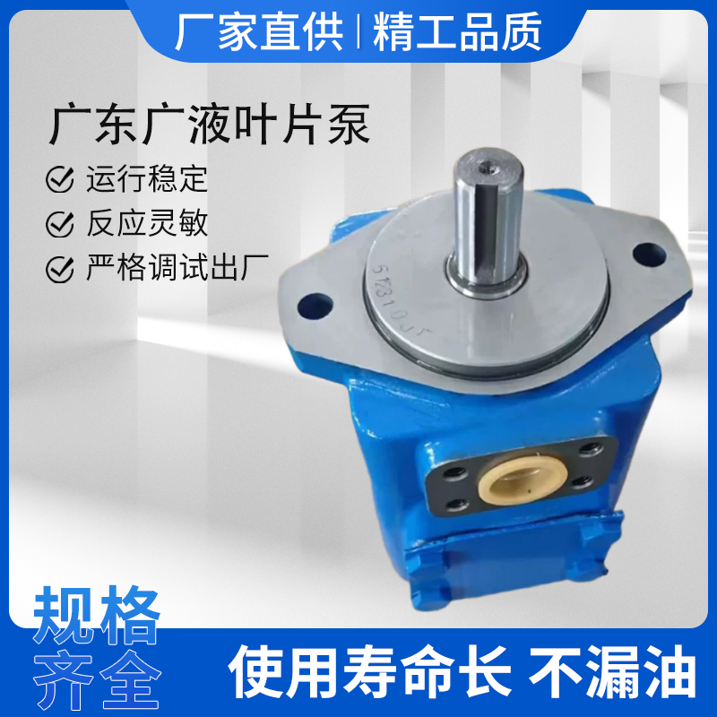 High-Pressure Vane Pump Guangdong Guangye Oil Pump Yb-E8 16 25 32 40 50 63 80 100 125 160 High-Pressure Vane Pump Guangdong Guangye Oil Pump Yb-E8 16 25 32 40 50 63 80 100 125 160