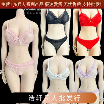 1/6 Female Soldier Plastic Body Accessories 12inch Clothing Elastic Underwear Bra and Panties Set with Back Hook