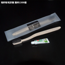 Hotel Dental Appliance 2 in 1 Hotel Room Disposable Toothbrush Toothpaste Adult Soft Wool Toiletries for Guests