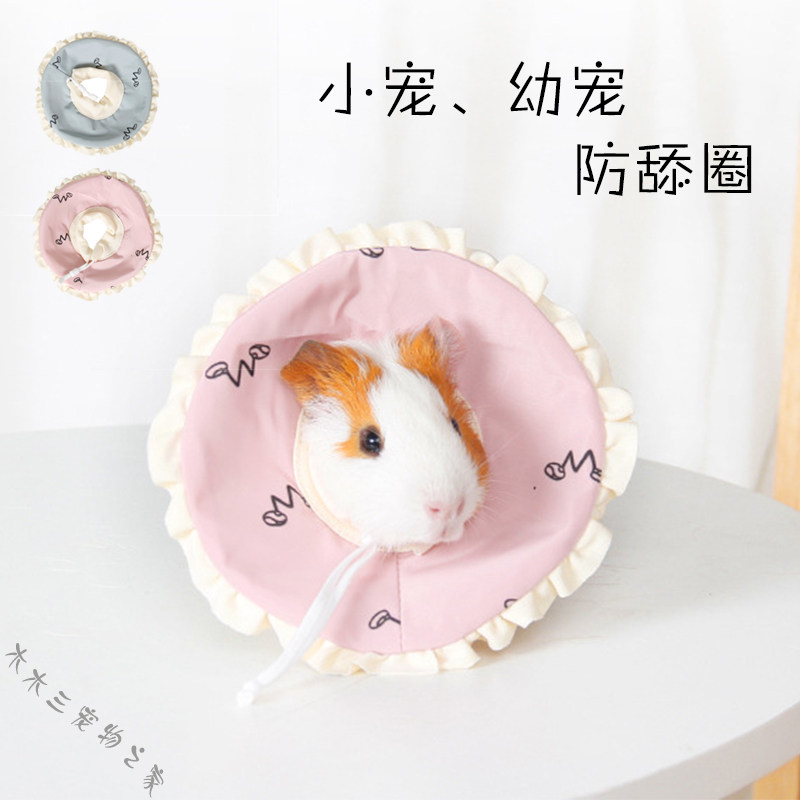 Pet Elizabeth Circle young cat Dutch pig Anti-bite Licks Shame Ring Dragon Cat Rabbit Hamster Hood Item Ring Soft-Taobao