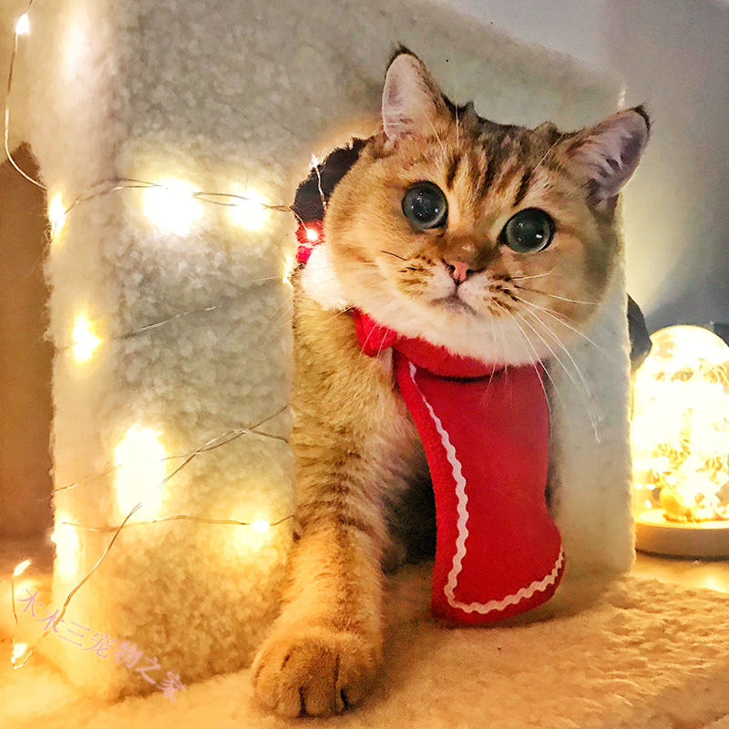 Pet Red Clothes Cat Clothes Dog Clothes Cat Dress Up Christmas Teddy Pomeranian Cloak Cape Shawl Four Seasons