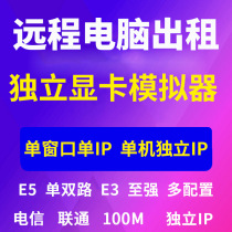 Remote computer rental E3 single-way dual server physical machine rental game simulator multi-open rendering operation