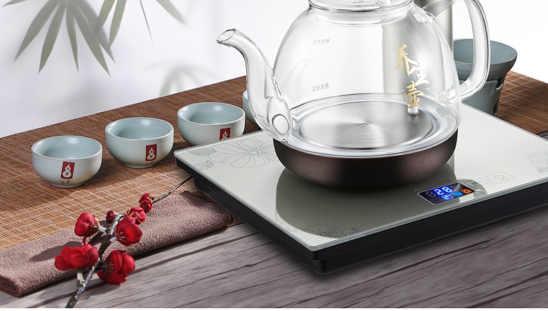 siêu điện nấu thuốc Ấm đun nước tự động AUX / AUX HX-10B27 Ấm đun nước bằng điện thông minh - ấm đun nước điện bình nước nóng siêu tốc