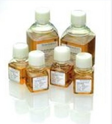 含票 新生牛血清   科研实验试剂    100ml