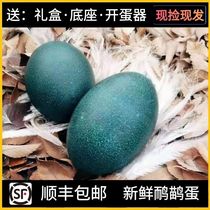 Fresh Emu Egg Ink Green Ostrich Egg Spring Festival cadeaux to lead the New Year