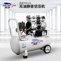 Wind leopard air compressor Shanghai portable oil-free silent air compressor Pneumatic high pressure small household air pump 220v