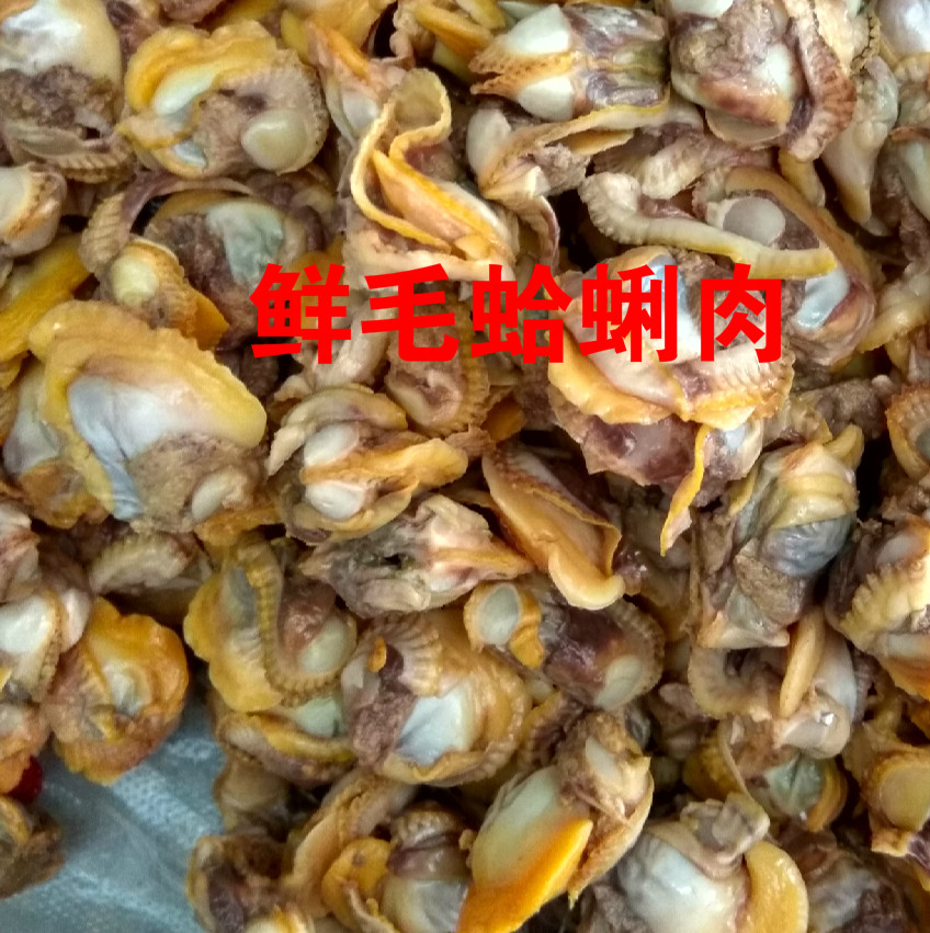 Seafood Aquatic Shellfish Fresh hair packets Living hair clams Giant Clam Wild Clams 250 gr