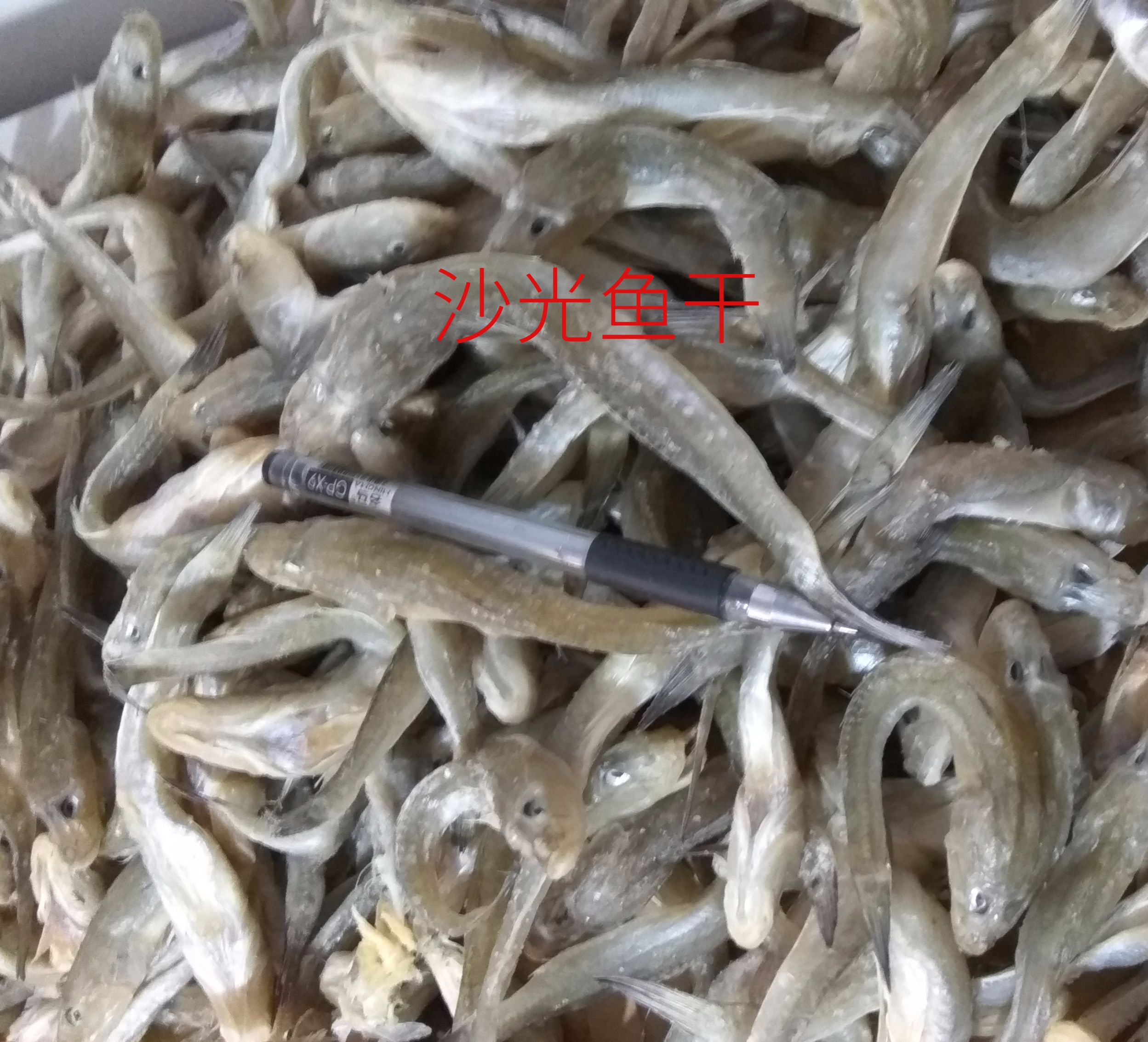Lianyungang specialty seafood dried Shaguang fish Shaguang fish dried seafood dried raw dried 250