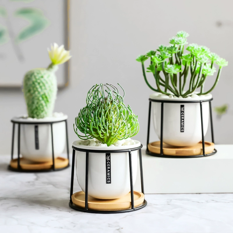 Nhà máy mô phỏng trong chậu nhỏ đồ trang trí cây xương rồng sáng tạo cây xanh giả Bắc Âu gió trang trí máy tính để bàn mini mọng nước - Trang trí nội thất