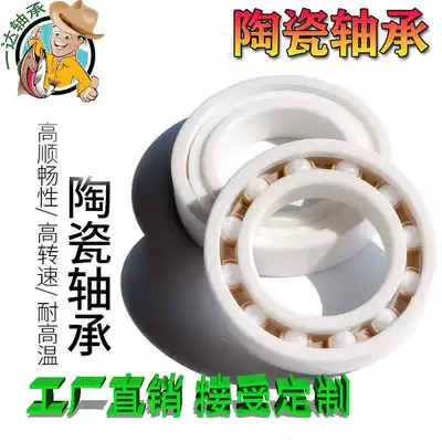 Zirconia all-ceramic bearing 608 6000 6001 6002 6003 6004 6005 6006 60078