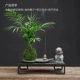 Маленькие растения в горшках+маленькие шарики Zen Sisi (карманный кокосовый орех+тыква цветочный горшок+Железная пластина)
