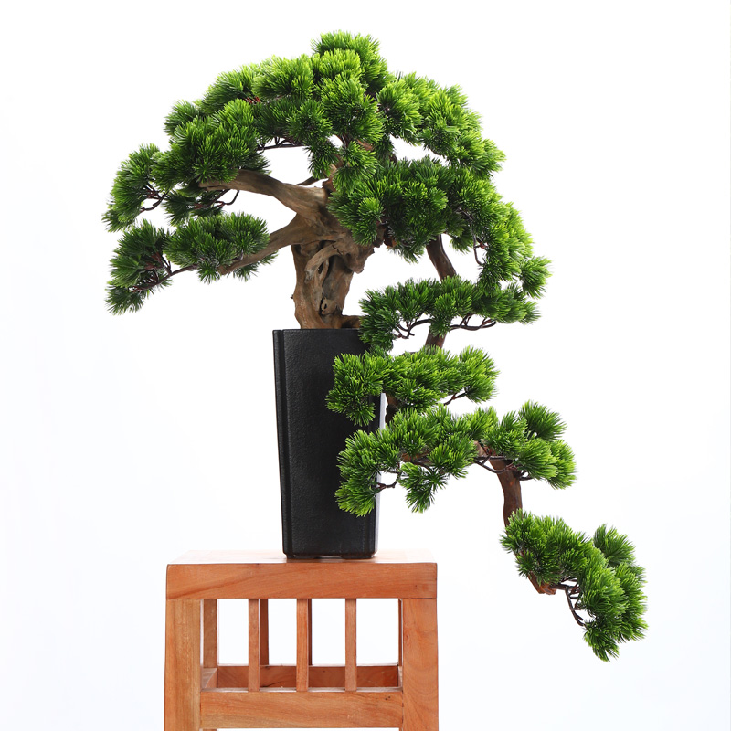 MaiTao retro simulation guest - the greeting pine bonsai home furnishing articles furnishing articles between sitting room porch soft outfit green plant example ceramics